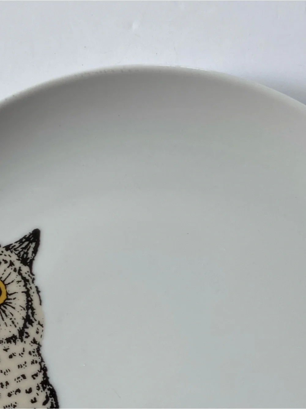 West Elm Owl Plate 8.5” Serving Art Drawing Display Bird Ceramic Birding Tree